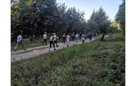 Marche nordique/loisirs