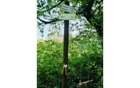 Parcours hebdo de marche nordique 