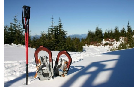 Sortie raquettes Dimanche 19 Mars