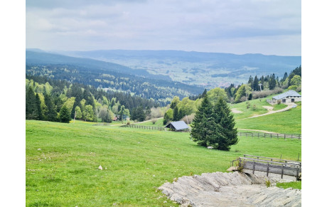 Dimanche 25 Juin : sortie familiale au Mont d'Or